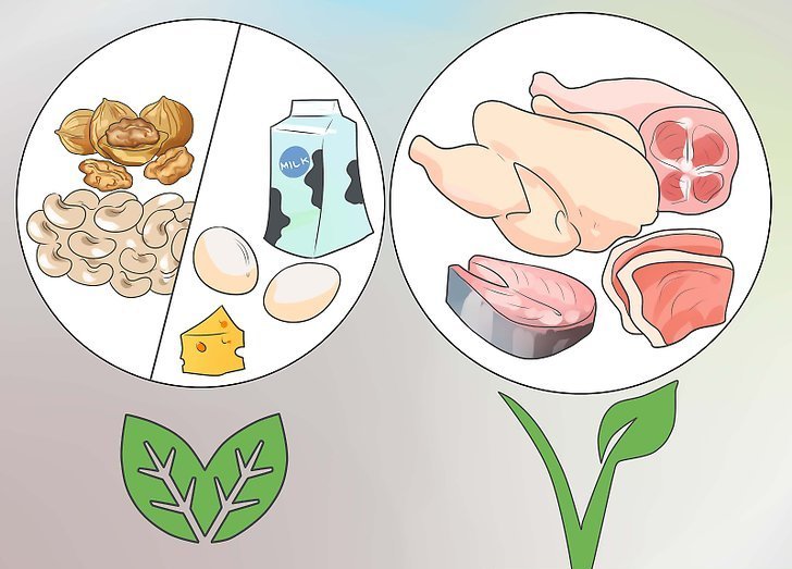 nutritional diet to gain weight