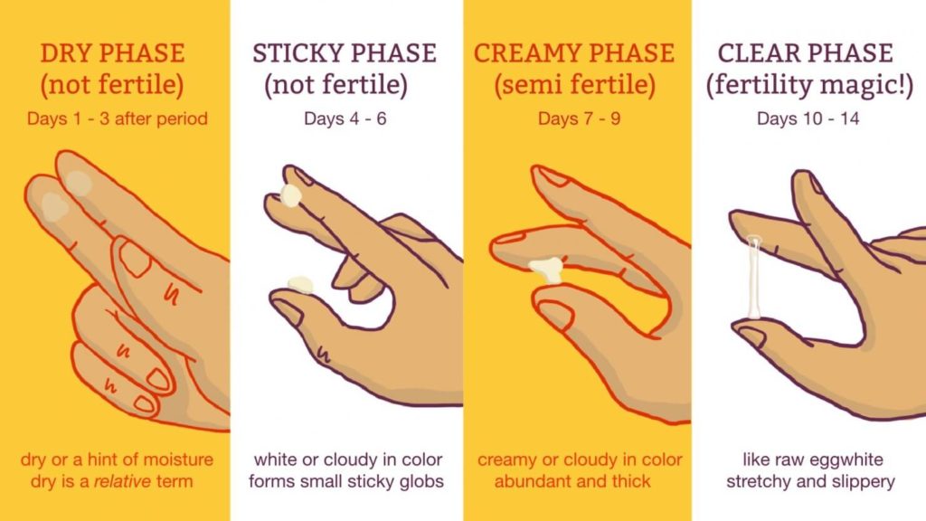 Is It Normal To Have Egg White Discharge During Pregnancy