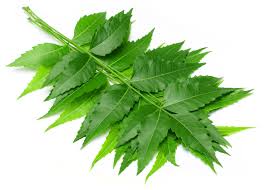 neem